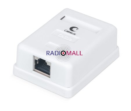 WS-8P8C-Cat.5e-SH-1 (7485c)